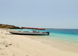 FARASAN ISLAND