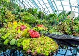 Mystical Moments In Singapore 3 Nights