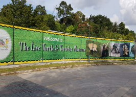 LIVE TURTLE MUSEUM SINGAPORE