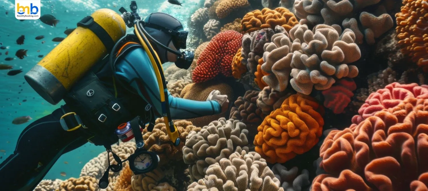 PADI Pledges To Protect The Ocean- 60th Anniversary