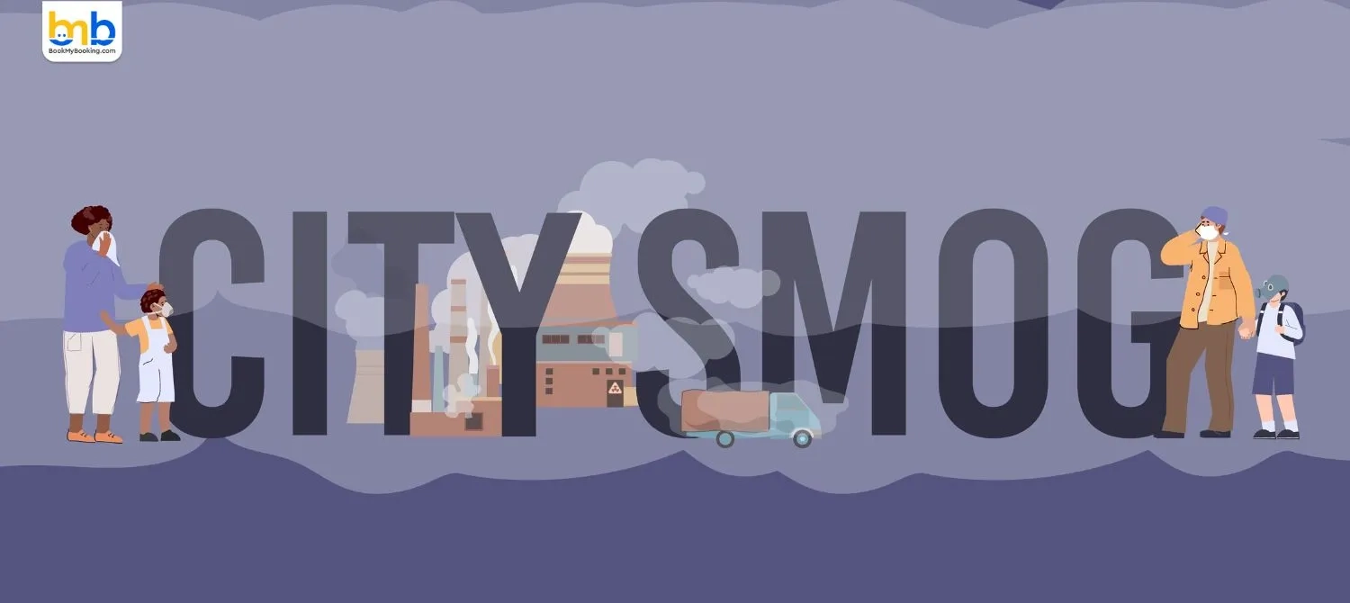 Poor Air Quality In Delhi Deters International Tourists During Peak Season