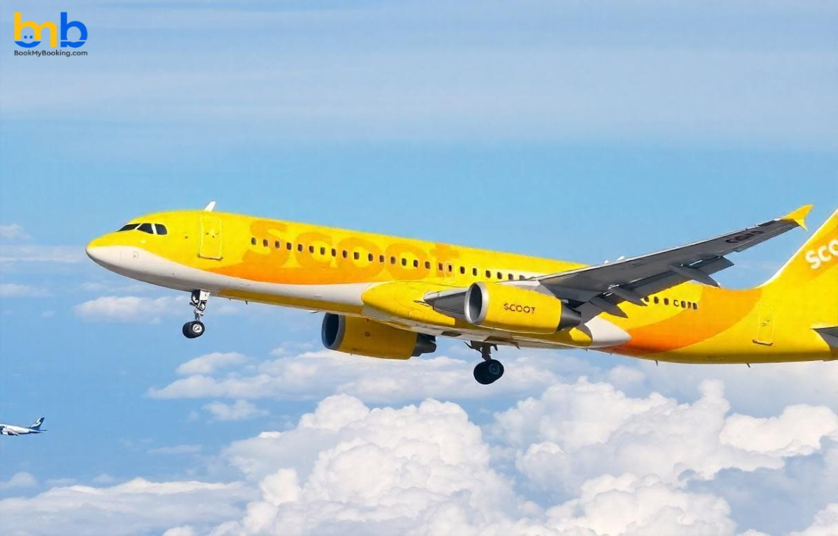 40% Of Scoot's India Passengers Continue Their Journeys Beyond Singapore
