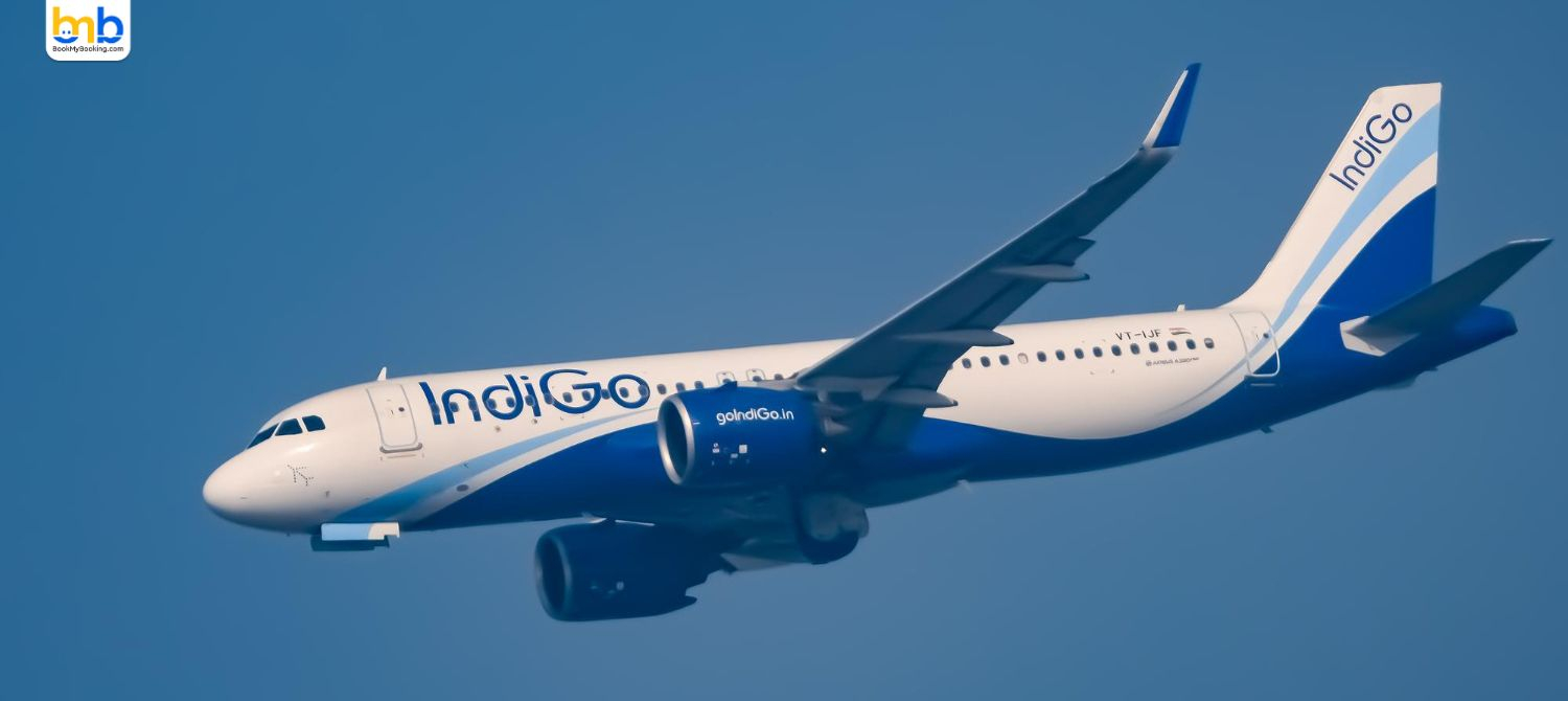 IndiGo Will Launch New Flights From Mumbai In July