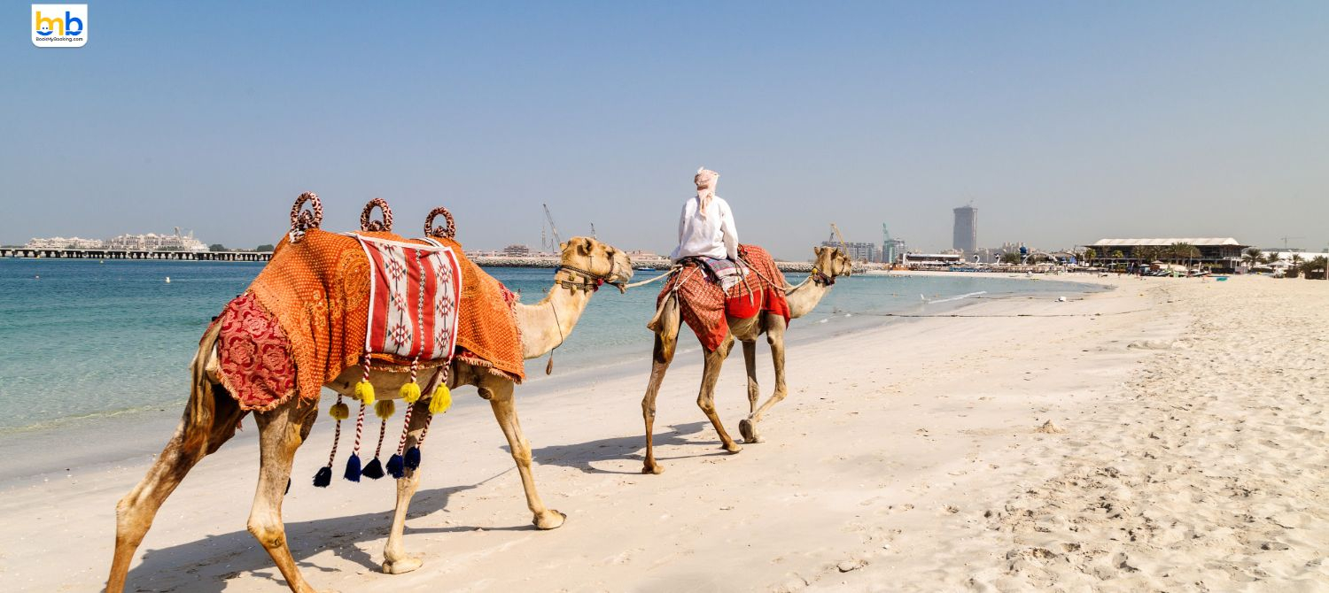 RAK Appoints Vishal Bhatia To Lead Indian Market Growth 