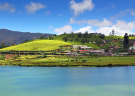 Cultural And Scenic Sri Lanka 6 Nights