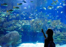 PLANET OCEAN WORLD
