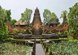 UBUD TOUR