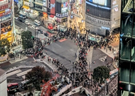 Essential Japan 5 Nights Of Discovery