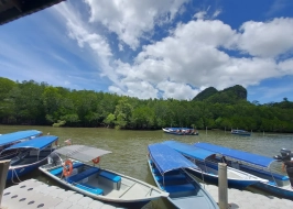 MANGROVE TOUR WITH KILIM GEOPOREST PARK