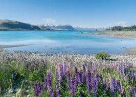 LAKE TEKAPO