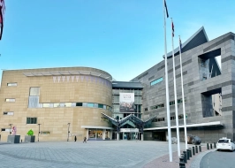 TE PAPA TONGAREWA
