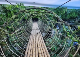 TROPICAL LAND