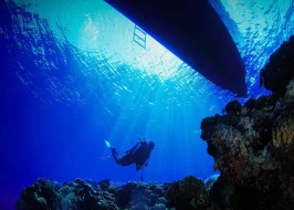 SCUBA DIVING JEDDAH