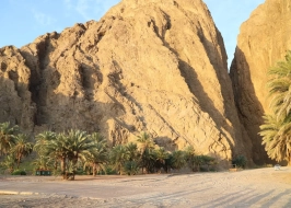 WADI TAYYIB AL ISM