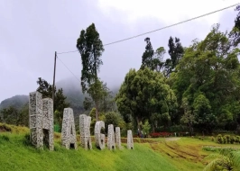 HAKGALA BOTANICAL GARDEN