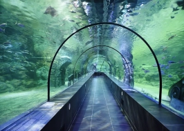 VIASEA AQUARIUM