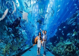 Budget Dubai Fun 4 Nights