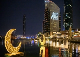 Dubai Delights
