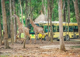 VINPEARL SAFARI