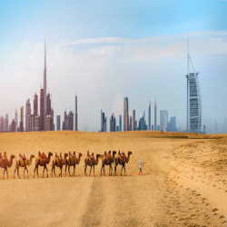 United Arab Emirates (UAE)