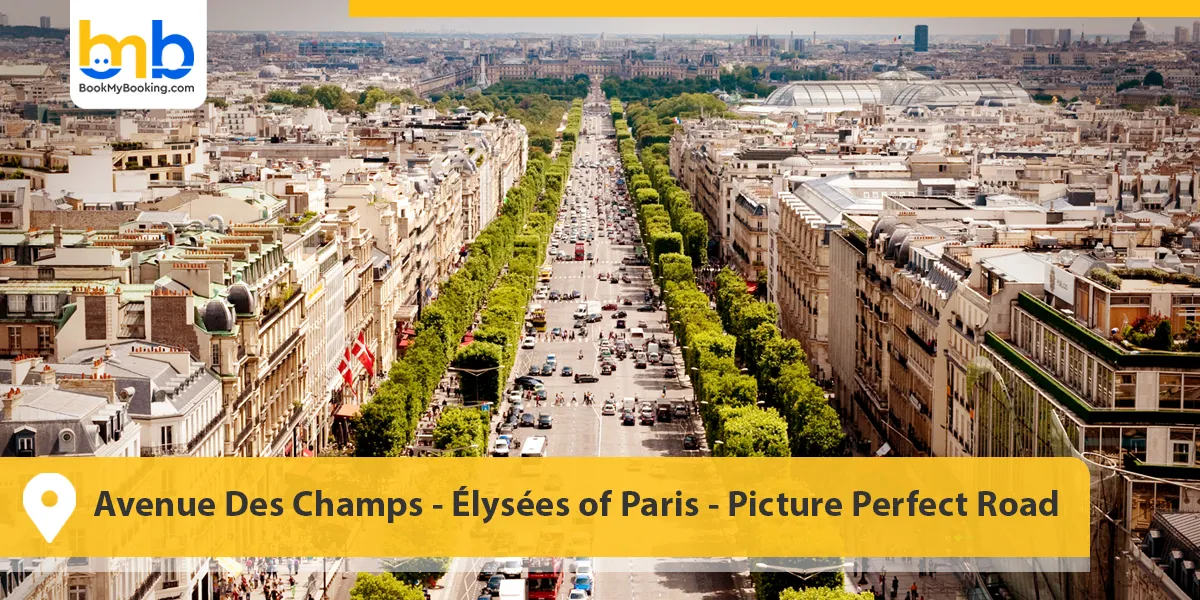 Avenue Des Champs-Élysées of Paris- Picture Perfect Road