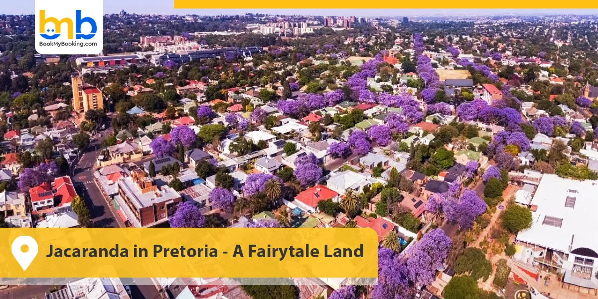 Jacaranda in Pretoria- A Fairytale Land