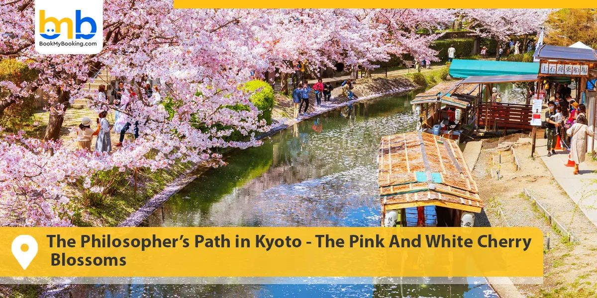 The Philosopher’s Path in Kyoto- The Pink And White Cherry Blossoms