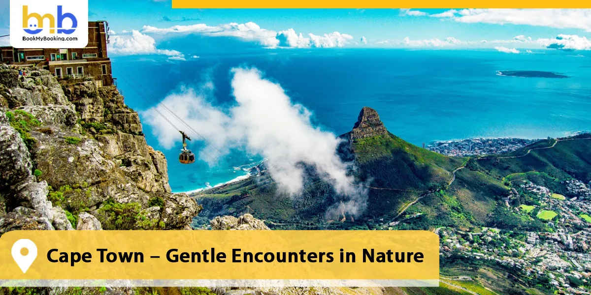 Cape Town – Gentle Encounters in Nature