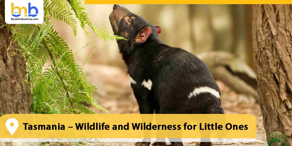 Tasmania – Wildlife and Wilderness for Little Ones