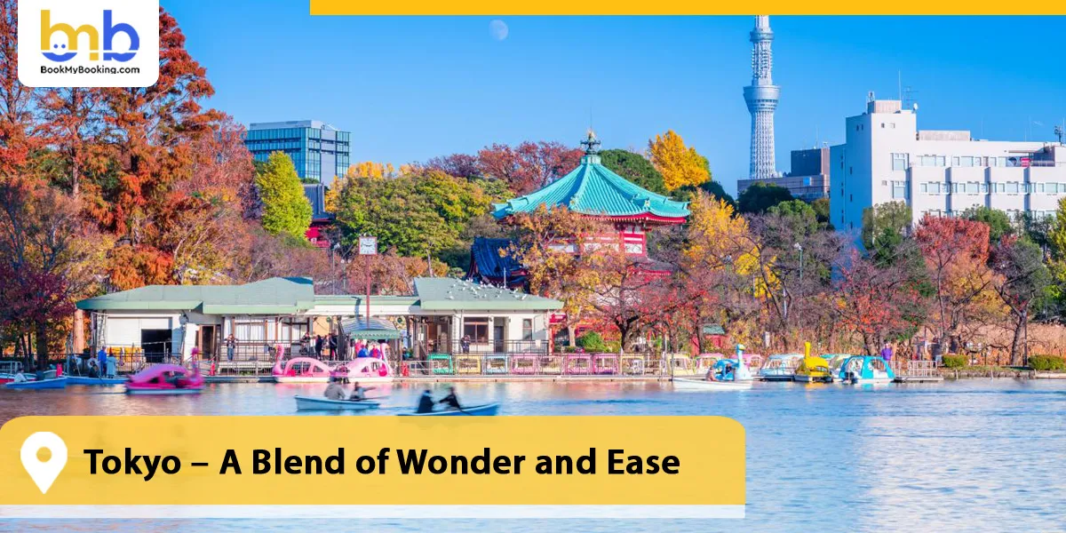 Tokyo – A Blend of Wonder and Ease