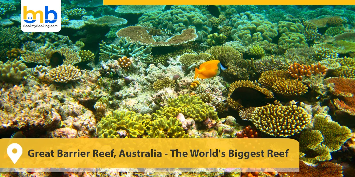 Great Barrier Reef, Australia- The World's Biggest Reef