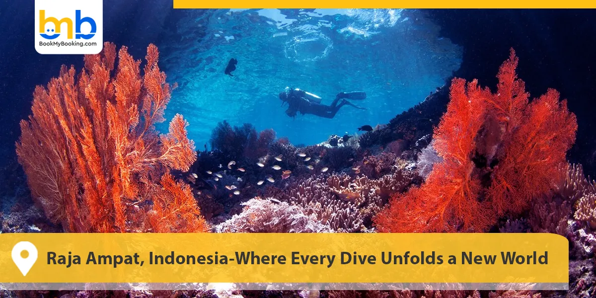 Raja Ampat, Indonesia-Where Every Dive Unfolds a New World