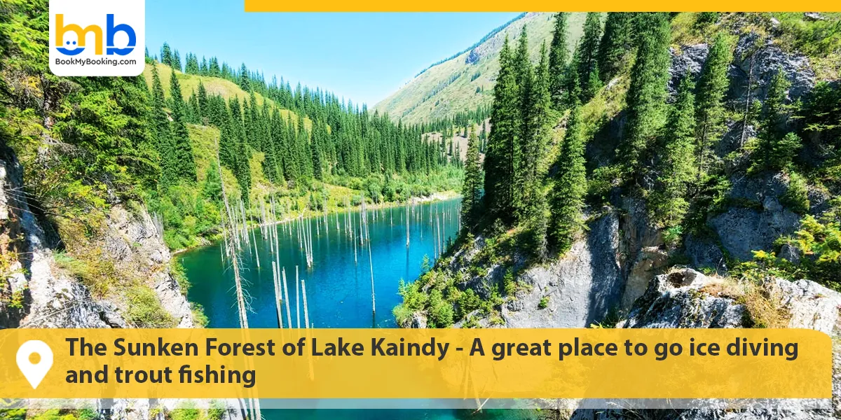 The Sunken Forest of Lake Kaindy- A great place to go ice diving and trout fishing