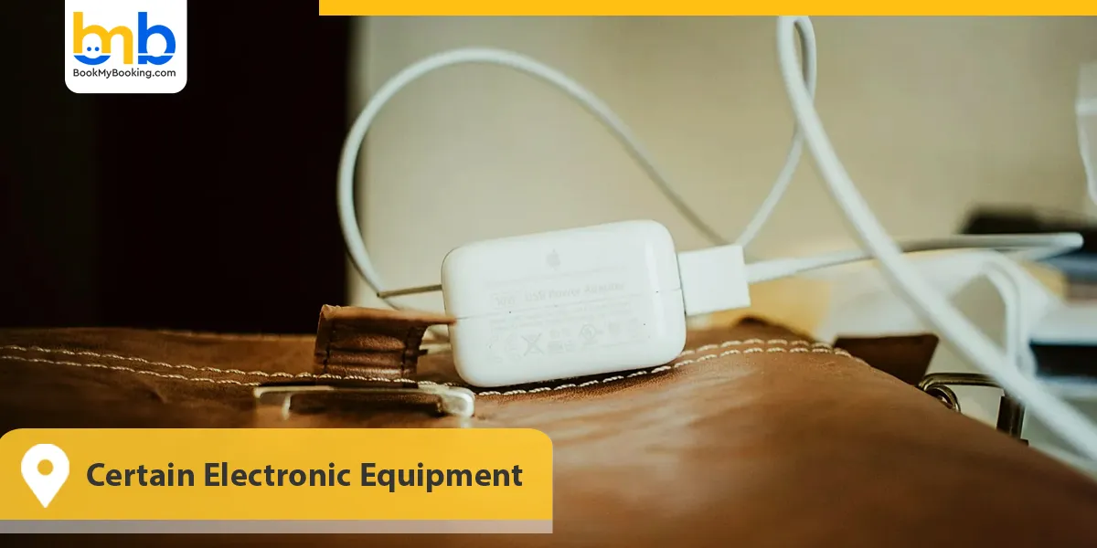 Certain Electronic Equipment