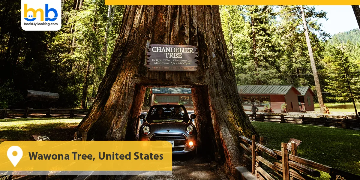 Wawona Tree, United States