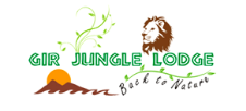 Gir Jungle