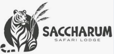 Saccharum Safari